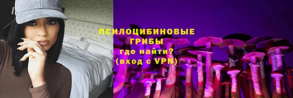 ГАЛЛЮЦИНОГЕННЫЕ ГРИБЫ Абинск