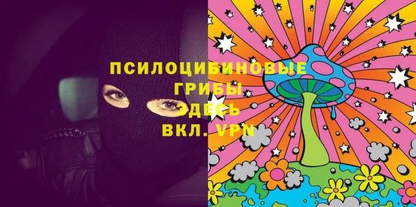 ГАЛЛЮЦИНОГЕННЫЕ ГРИБЫ Абинск